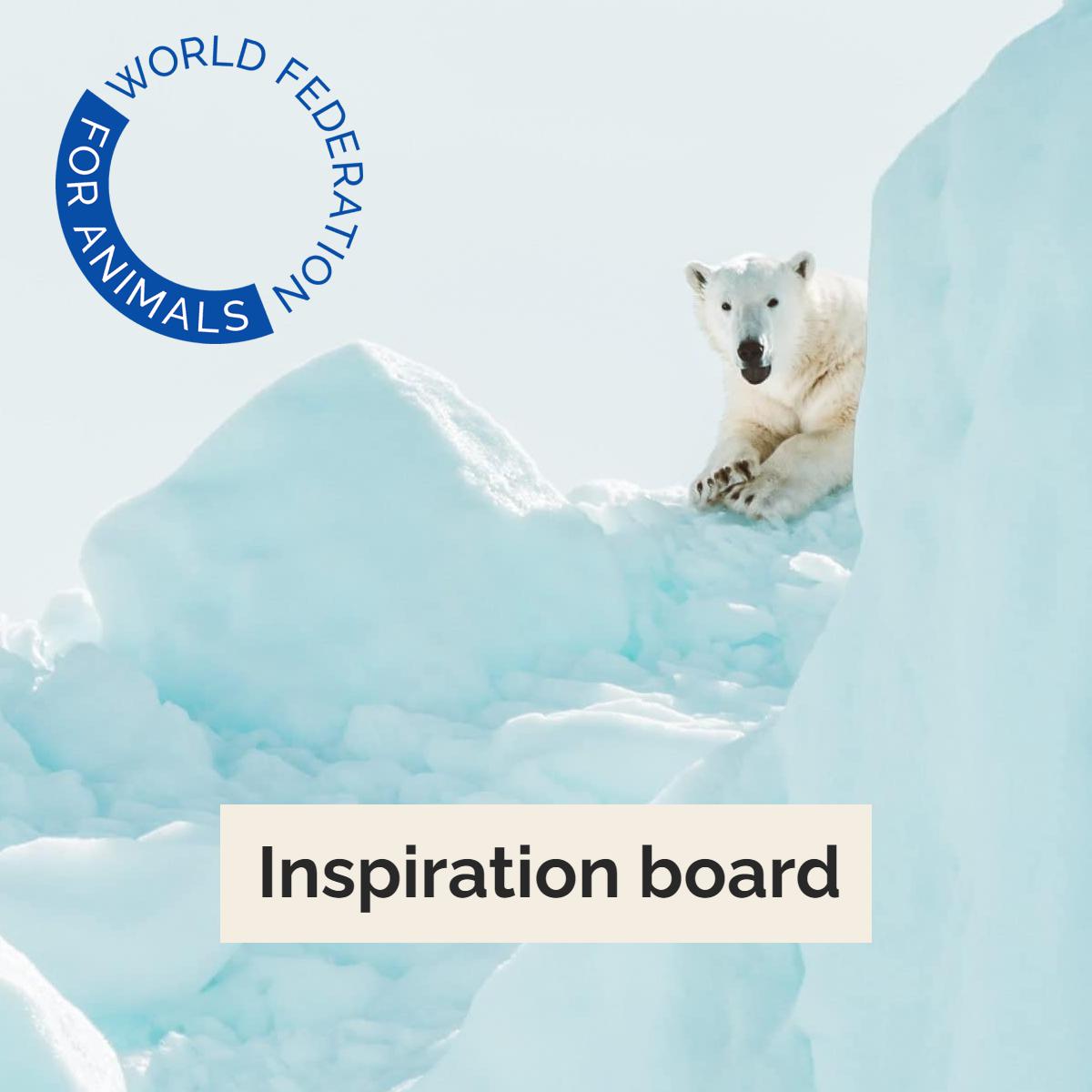 World Federation of Animals inspiration board